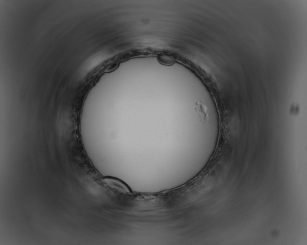 X0000101191112200807181504
