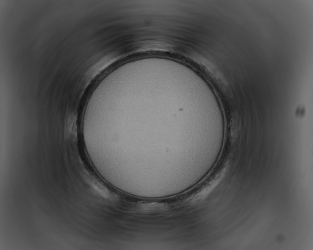 X0000101191113200807181504