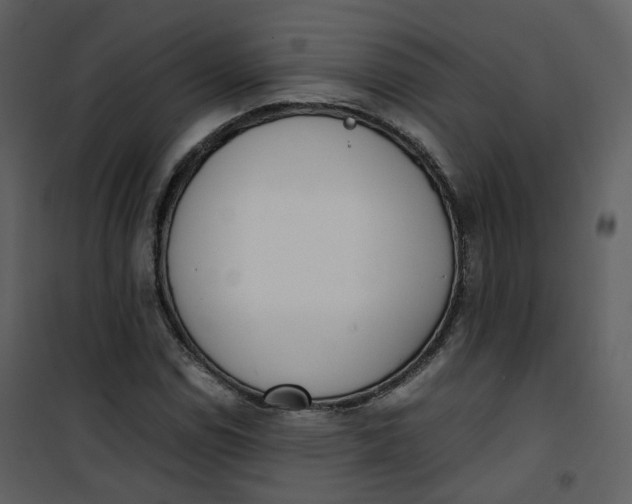 X0000101191114200807181504