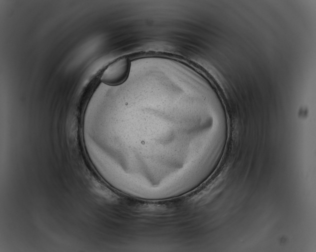 X0000101191115200807181504