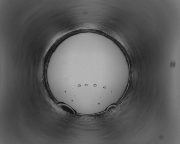 X0000101191116200807181504