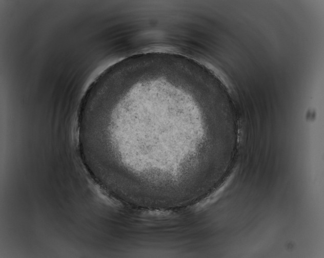 X0000101191117200807181504