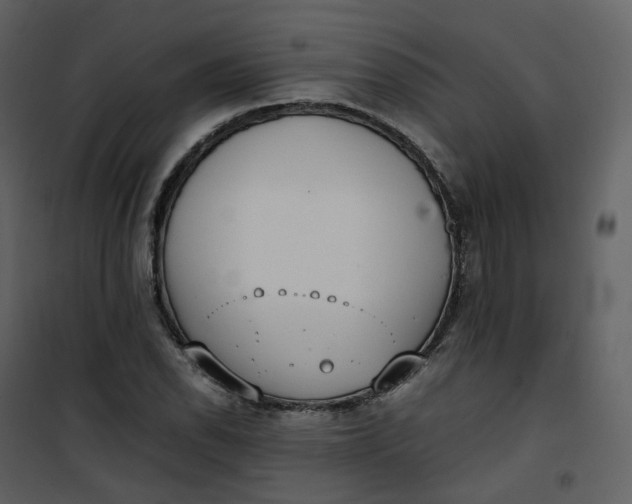 X0000101191118200807181504