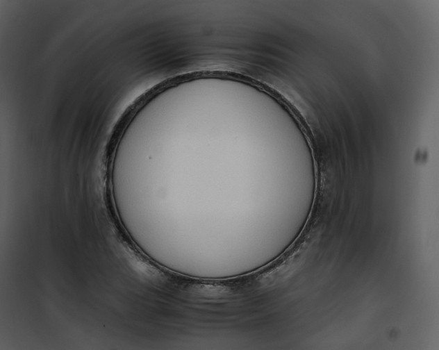 X0000101191119200807181504
