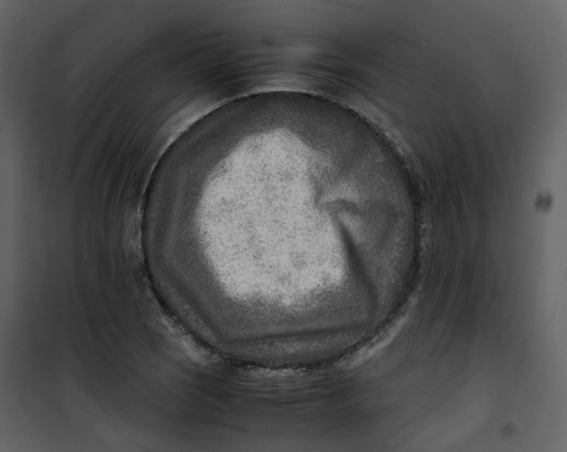 X0000101191121200807181504