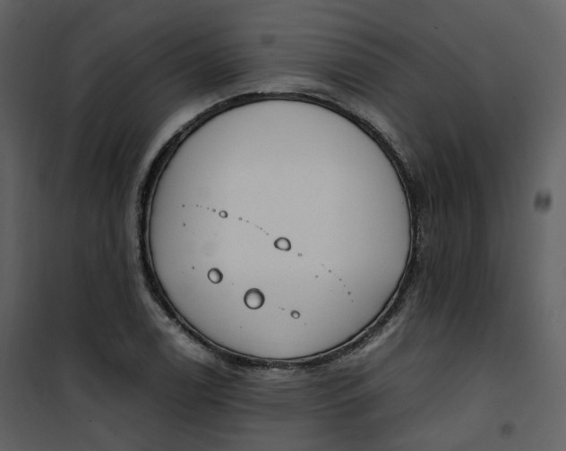 X0000101191122200807181504