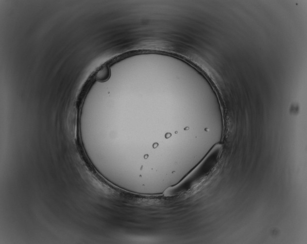 X0000101191123200807181504