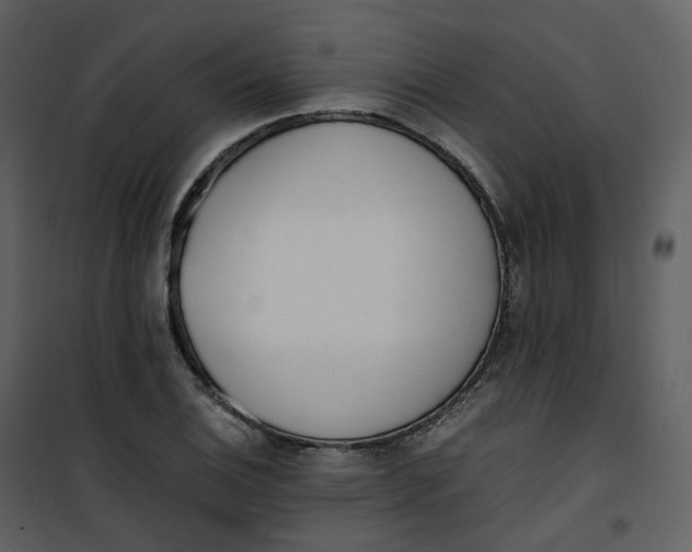 X0000101191124200807181504