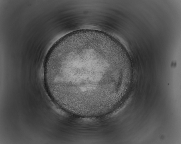 X0000101191125200807181504