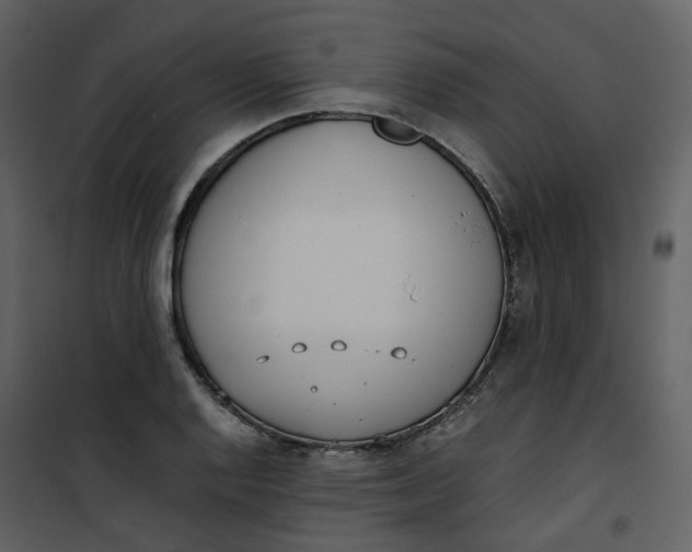 X0000101191128200807181505