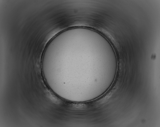 X0000101191129200807181505