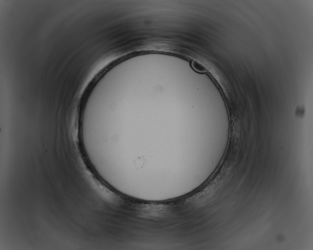 X0000101191131200807181505