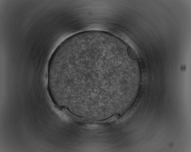 X0000101191132200807181505