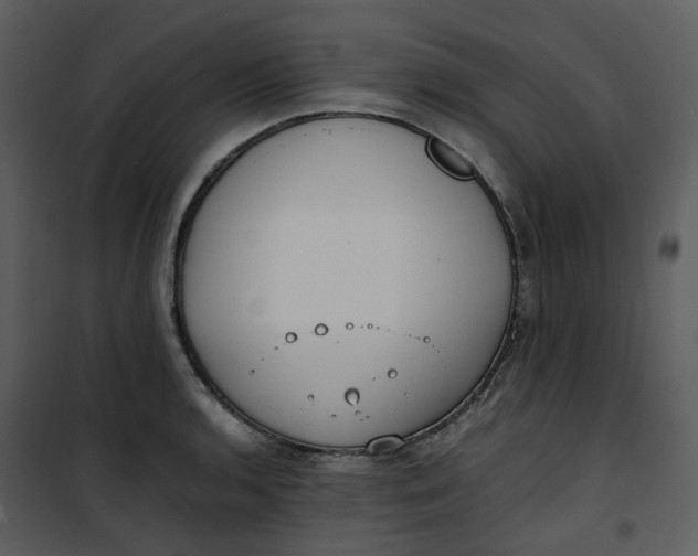 X0000101191136200807181505