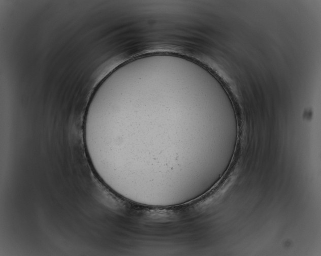 X0000101191137200807181505