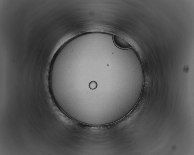 X0000101191138200807181505