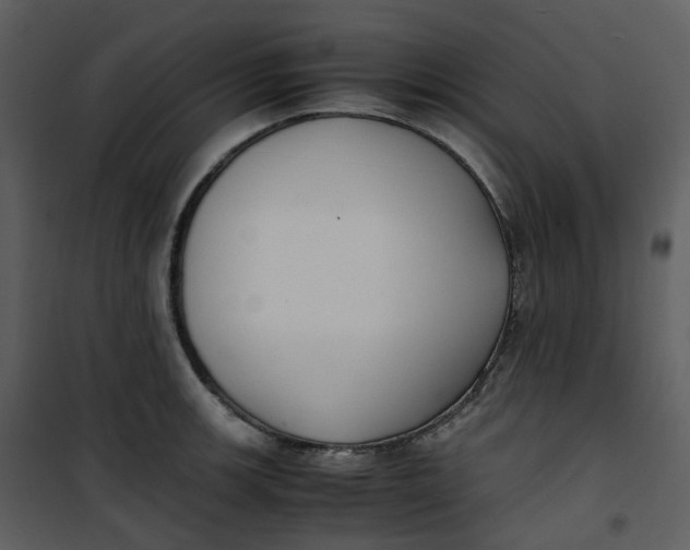 X0000101191139200807181505