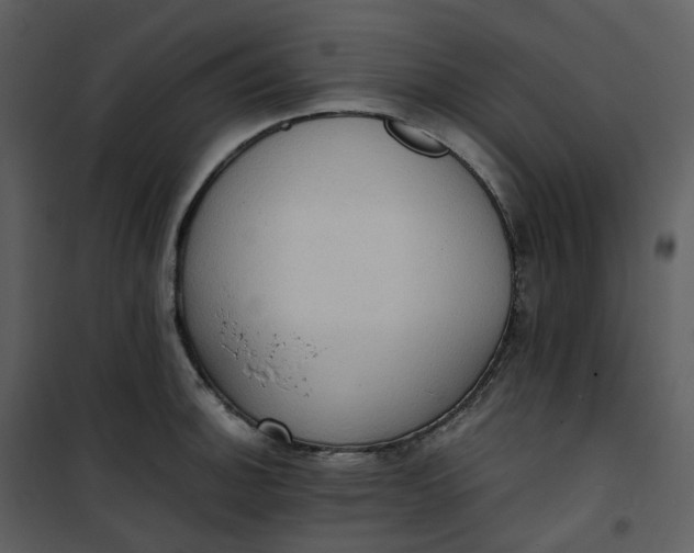 X0000101191140200807181505
