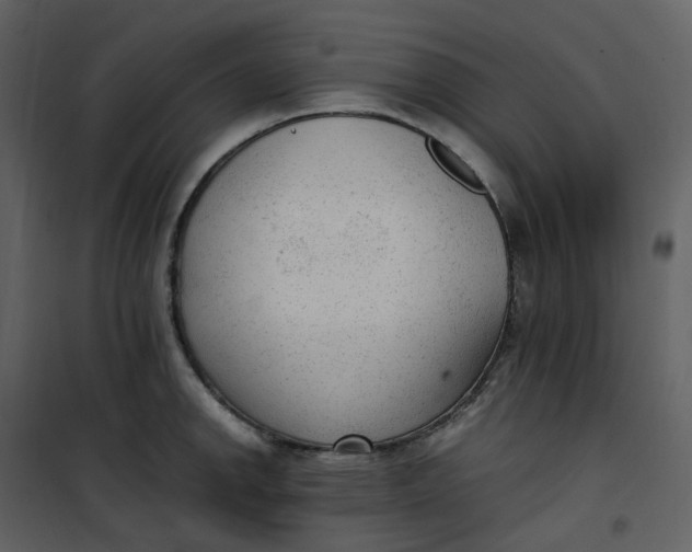 X0000101191142200807181505