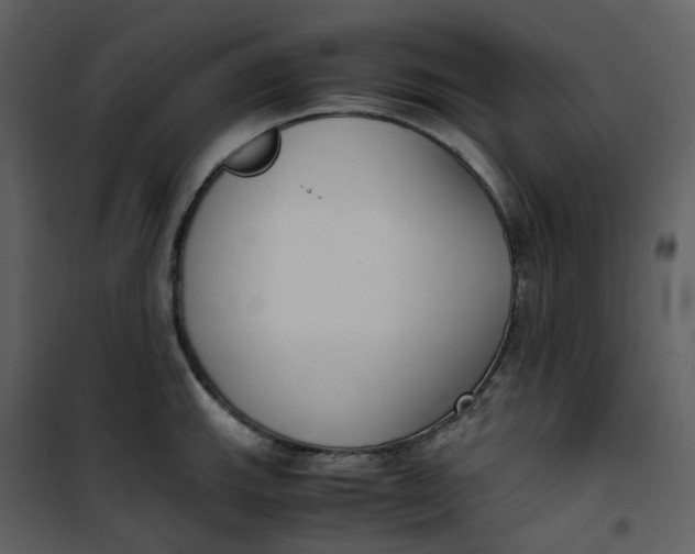 X0000101191143200807181505