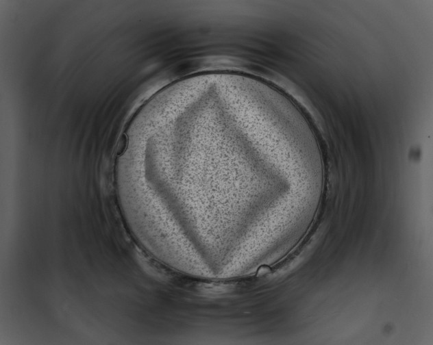 X0000101191145200807181505