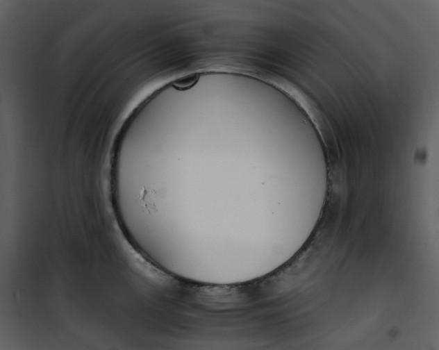 X0000101191147200807181505