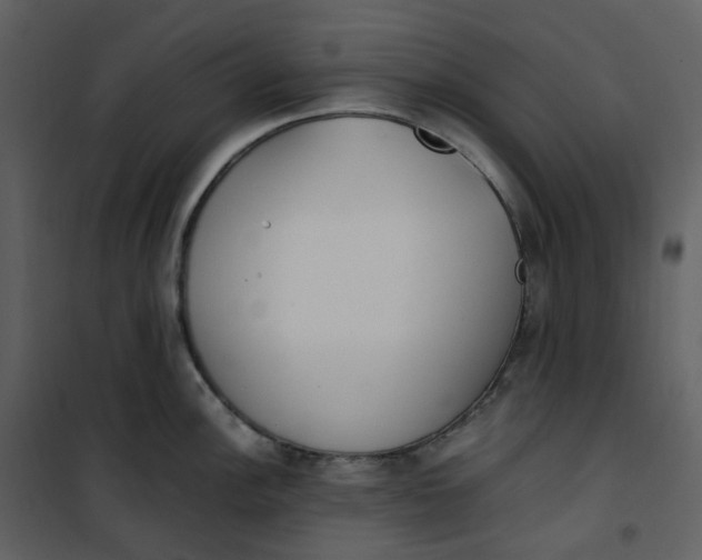 X0000101191148200807181505