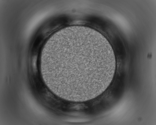 X0000101191150200807181505