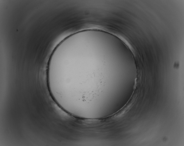 X0000101191151200807181505