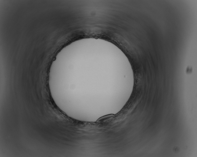 X0000101191153200807181504