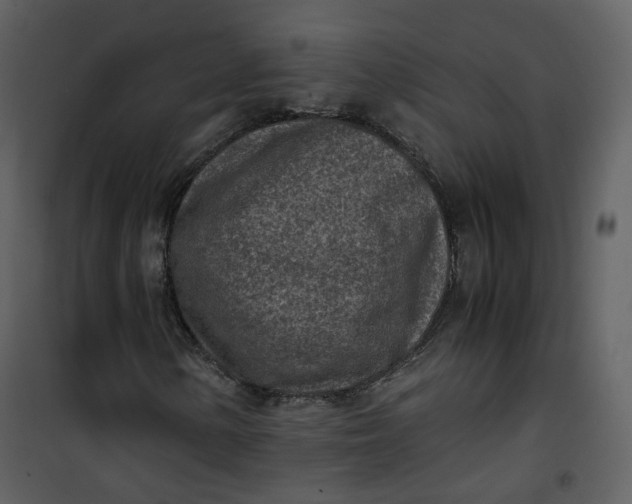 X0000101191154200807181504