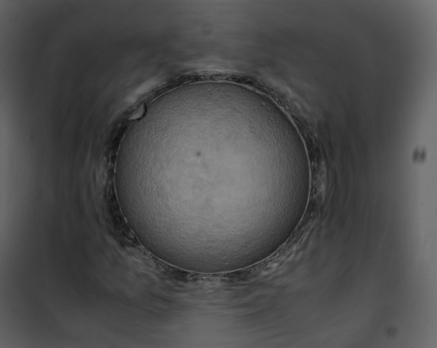 X0000101191157200807181504