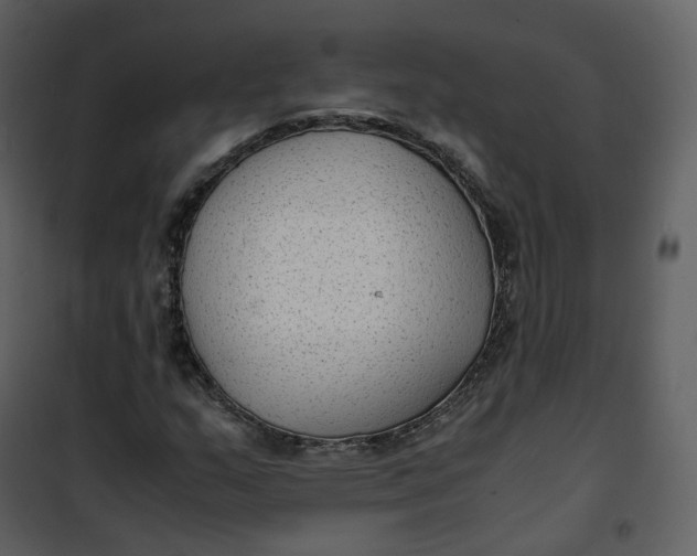X0000101191159200807181504