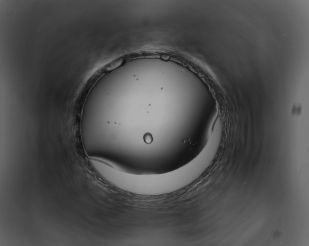X0000101191160200807181504