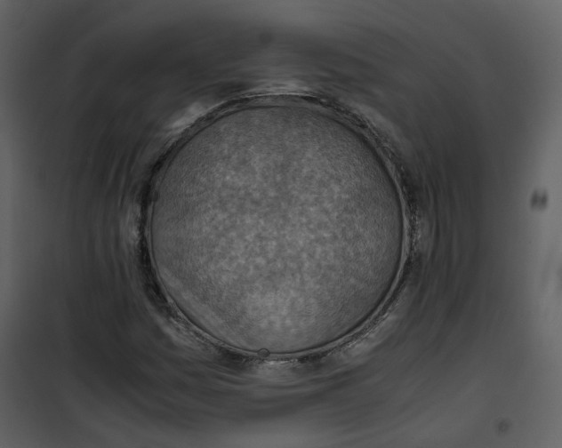 X0000101191161200807181504