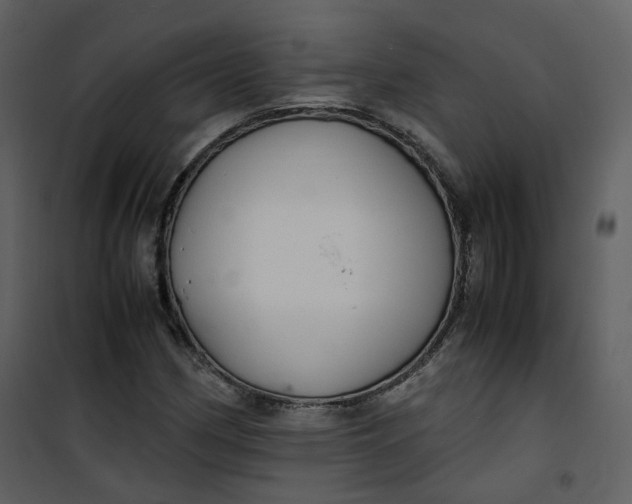 X0000101191162200807181504
