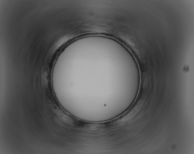 X0000101191163200807181504