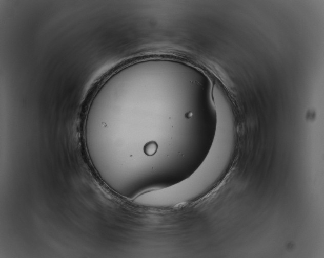 X0000101191164200807181504