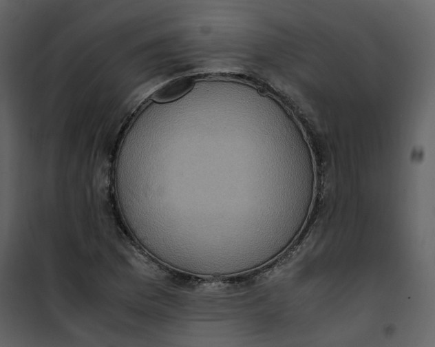X0000101191169200807181504