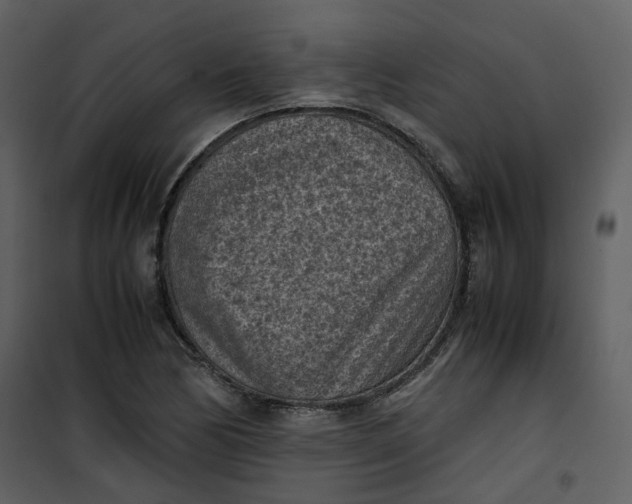 X0000101191170200807181504