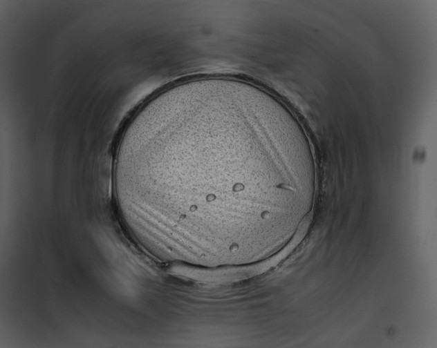 X0000101191171200807181504