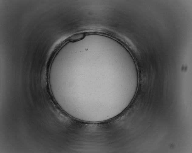 X0000101191172200807181504