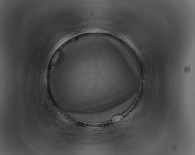 X0000101191173200807181504