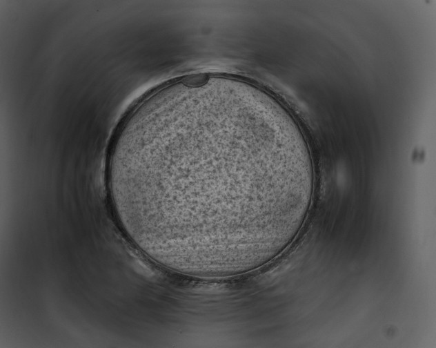 X0000101191174200807181504
