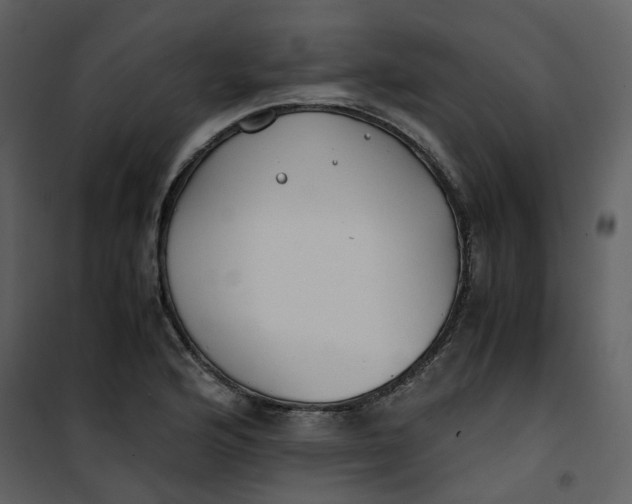 X0000101191176200807181504