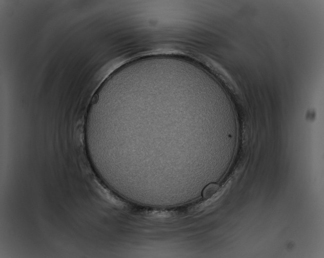 X0000101191177200807181504