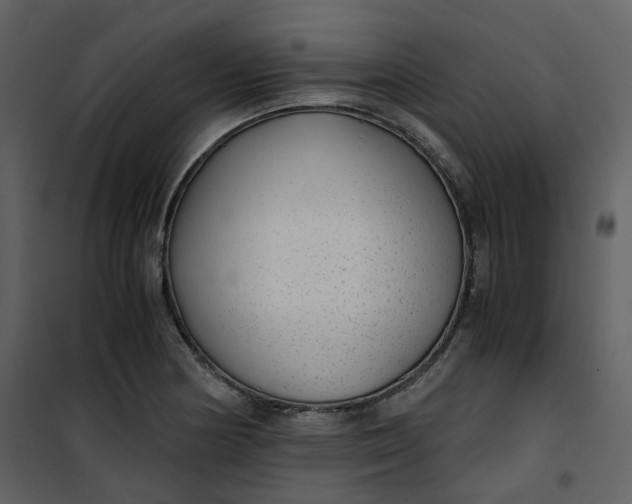 X0000101191178200807181504