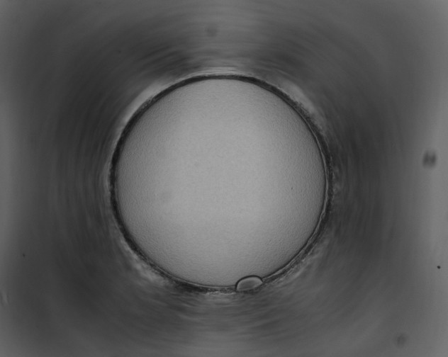 X0000101191181200807181504