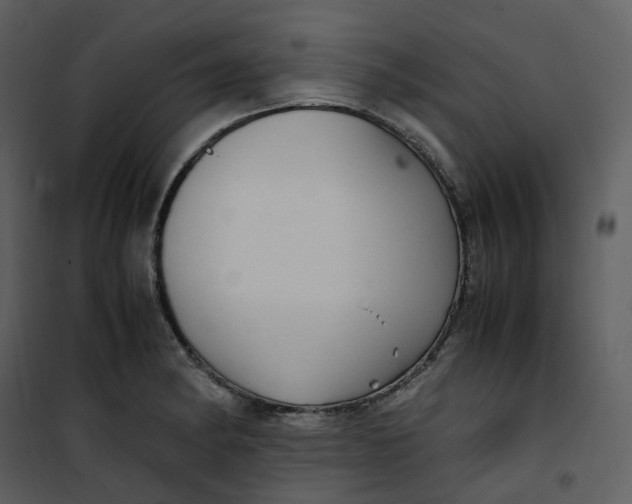 X0000101191182200807181504