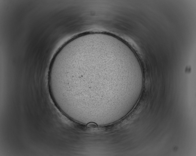 X0000101191183200807181504